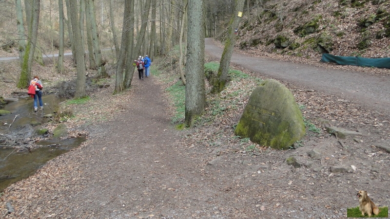 Ritterstein Nr. 250-4 Dr. Karl Bäßler Weg.JPG - Ritterstein Nr.250 Dr. Karl Bäßler Weg